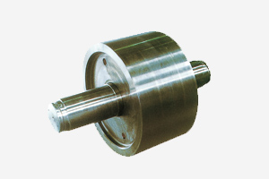 the roller shaft